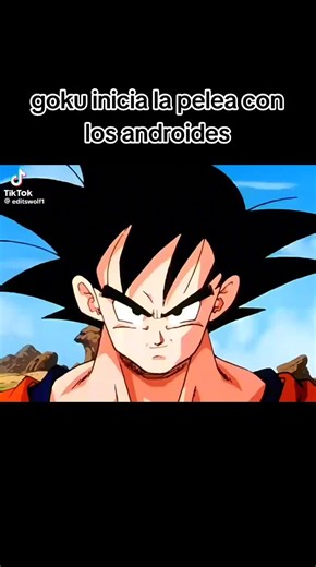 Goku y La Pelea Contra los Androides 19 y 20