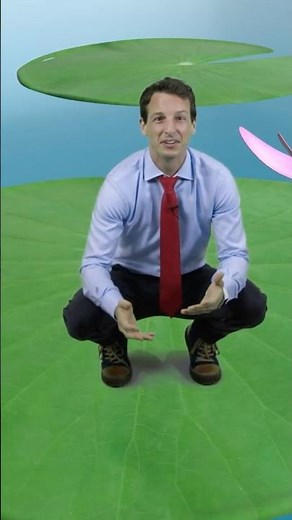 Learn math like a frog? #acellus #math #learningisfun