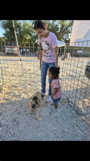 We had a fantastic time, meeting many new people. The event generated countless smiles and memories for the families. Regrettably, photographs were not captured. Petting Zoo November 8th Deer Park Texas. #pettingzoo #cookoff #deerparktx | Stella and Friends Petting Zoo | Facebook