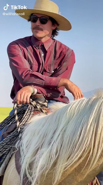 Roping Techniques at Sunset: A Cowboy's Guide to Ranch Life in Montana