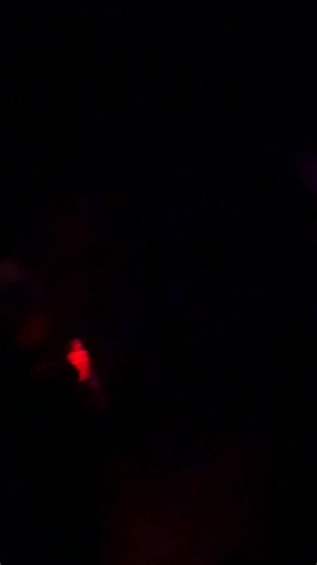 The band supporting local and Primer55 at The Annex!! Check out these badass bands!! Dead Amsterdam Our Dying Whisper Static Affliction | Where Is The Key