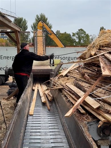 Authentic Sawmill Work Environment Footage