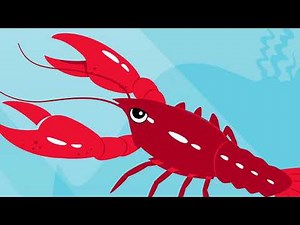 Arthropods | Miss Humblebee’s Academy