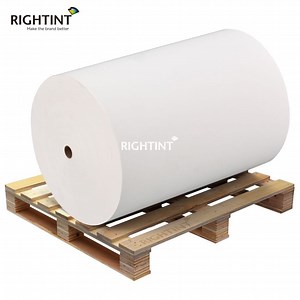 [Hot Item] PP Shipping UV Coated Printing Paper Synthetic labels label roll