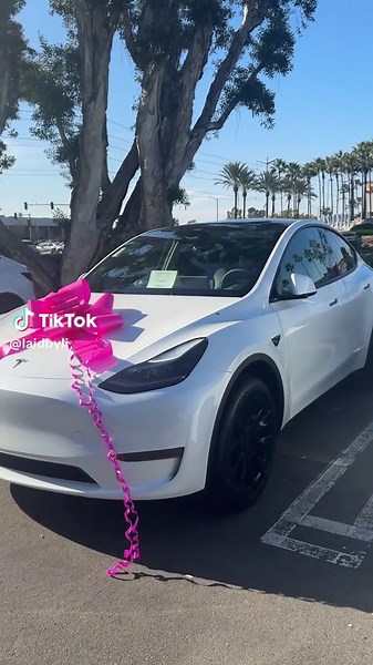Merry Christmas to Me: Celebrating 2025 with Tesla