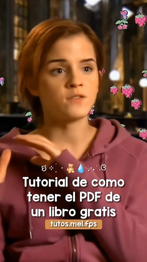 Cuentas recomendadas