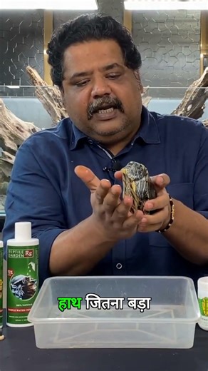 Top 5 REPTILE Products You Need Right Now