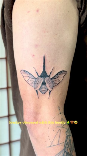 Stunning Beetle Tattoo by San Diego Artist