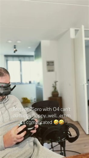 FlippyFloppy?
