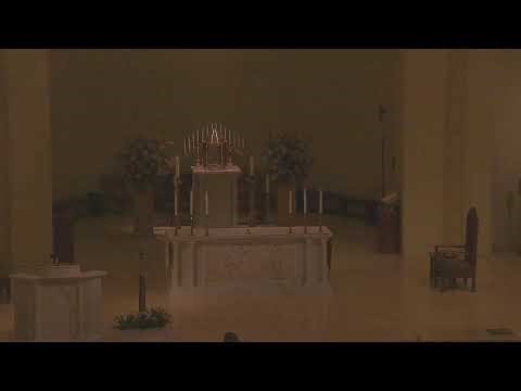 Saint Mark the Evangelist Catholic Church (Live Stream)