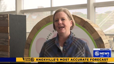 Alpha Kappa Alpha holds regional conference in Knoxville