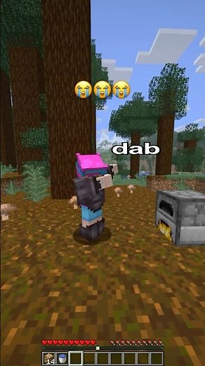 INVICTOR vs ACENIX in Heaven 😨