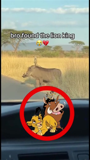 Bro Found The Lion King Football Reaction Video