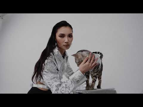 Trailer [LULUVIA OFFICIAL]