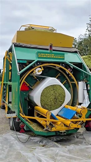 Wrapping Fresh Green Hay Into Large Square Bales Using an Automatic Silage Baler Machine