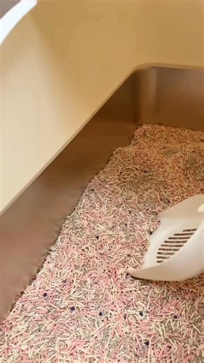 38K views · 73 reactions | Keep your home fresh and clean with this easy-to-use cat litter box featuring a removable tray for quick and simple cleaning. 識 #Temu #TemuFinds #PetCare | Temu Canada | Facebook