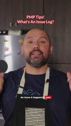 What's An Issue Log?