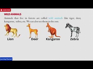 The World of Animals | Types of Animals | Grade 1 Students