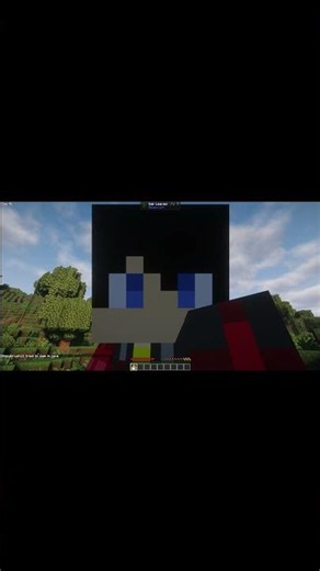 Lost Life smp application #minecraft #gaming #smp #java