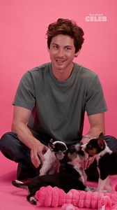 @loganlerman and Dylan O’Brien in a comedy-action movie together? 😲 This HAS to happen. Watch the full Logan Lerman Puppy Interview at the link in bio. #PuppyInterview #LoganLerman #BuzzFeedCeleb | BuzzFeed Celeb