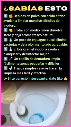 6 TRUCOS PARA LIMPIAR EL INODORO COMO UN PRO 🧼🚽 ¿SABÍAS ESTO?