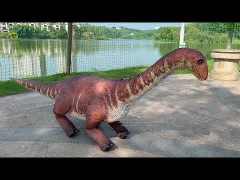 Super Realistic Remote Control Walking Dinosaur - Diplodocus