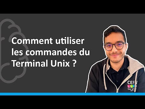 Comment utiliser les commandes du Terminal Unix ?