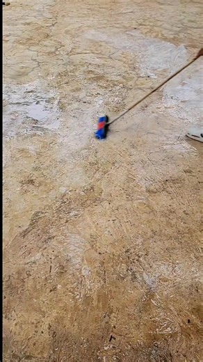 ድሬ ምንጣፍ እጥረት #fyp #dire #washing #ምንጣፍ