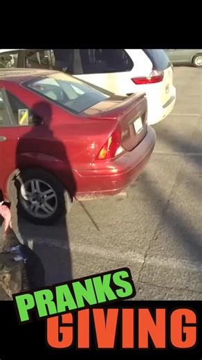 Pranks Giving! Seeing eye turkey | Tom Mabe