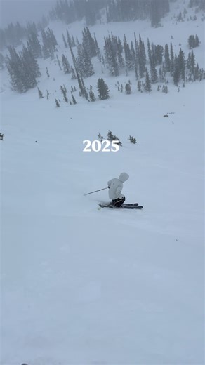 Albert Yang on Instagram: "Good night!! 2021 didn’t count I only skied one day😂 but that’s when it all started🫶🤘🏻 3 full seasons and now coming into 4th (2025/2026), 161 days on the slopes later, excited for 2026!! clips recorded🤳📸 1. @athenapilato. First day ever at Mt. Bachelor 2. @itsmeohmylee. Crystal Mountain 3. @itsjat.pnw. Stevens Pass 4. @hey_theres_andrew. Stevens Pass 5. @alpinetamaskanhusky. Whistler Blackcomb #ski #progress"