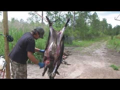 How to Clean a Hog