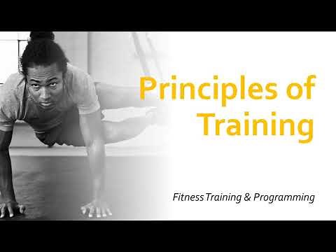 Principles of Training | Fitness Training & Programming