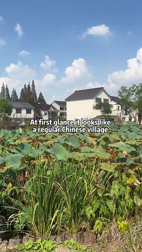 Exploring China's Urban Villages: A Unique Perspective