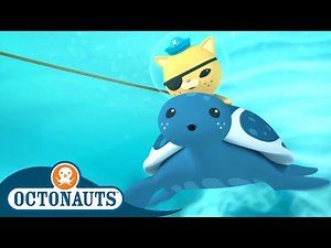 Octonauts - Blue Turtle Rescue | Cartoons for Kids | Underwater Sea Education