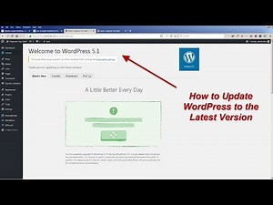 How to Update WordPress to 5.1