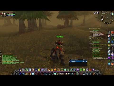 World of Warcraft Classic gameplay