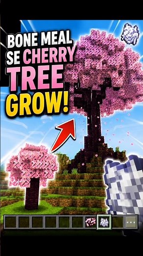 🌸 I Used Bone Meal and Instantly Grew a Giant Cherry Tree! 🌳🤯#minecraft