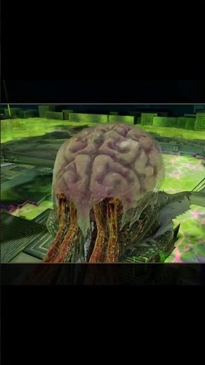 Short - Neverwinter - MOD 31 - The Dread Sanctum - Advanced - ATDS - Barbarian Blademaster DPS_