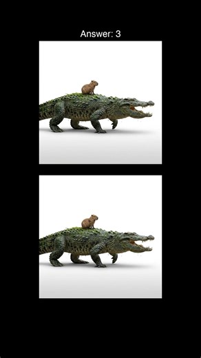 Spot the difference test that 99% of people can never find lol