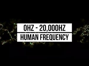 0Hz-22kHz - Line Animation Reacting To Sound Frequencies