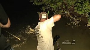 Susquehanna River Bowfishing