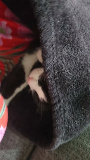 napping with my baby