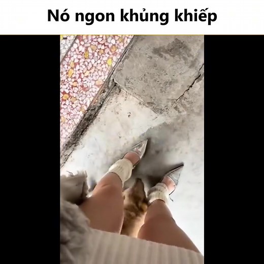 17K views · 167 reactions | Nghỉ ăn luôn á #matmat #reelvn #haihuocvideo #tinhhuongvui #xuhuong | Benz TV | Facebook