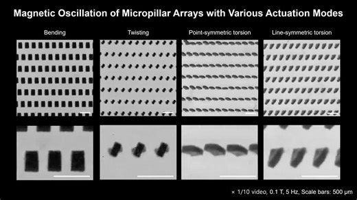 Collective synchronized magnetic oscillations enable micropillar arrays to manipulate fluids and act as soft robots