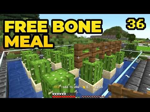 Infinite Bone Meal? Building a Cactus Farm (#36)