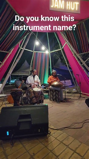 Do you know this musical instrument name? #music #fleefair delhi #influencers