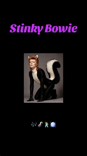 Stinky Bowie! #davidbowie #ziggystardust #furry