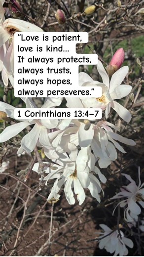 God is love! He calls us to love one another deeply from the heart! #jesus #love #hope