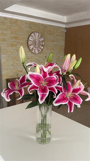 Watch Stargazer Lilies Bloom with Beauty and Grace