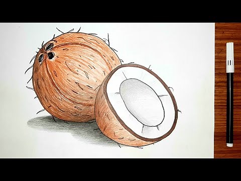 Coconut 🥥 drawing easy | How to draw a coconut step by step |
